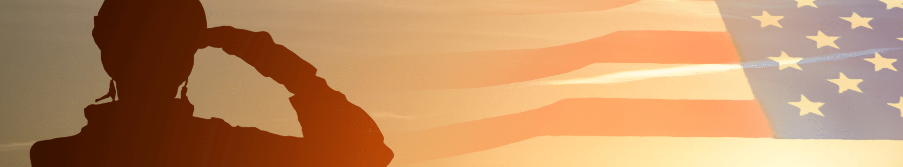 A image of a military man saluting the flag in a orange sky.heroes