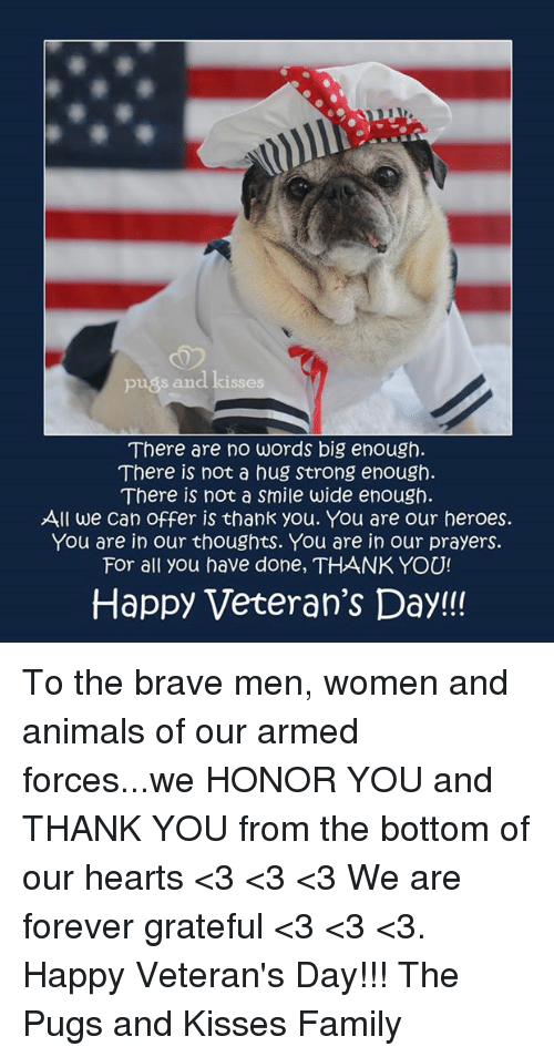 Happy Veterans Day 2022: Celebrate and Honor Military Veterans