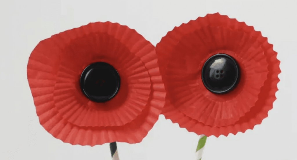Veterans Day Activities: The Story of the Red Poppy