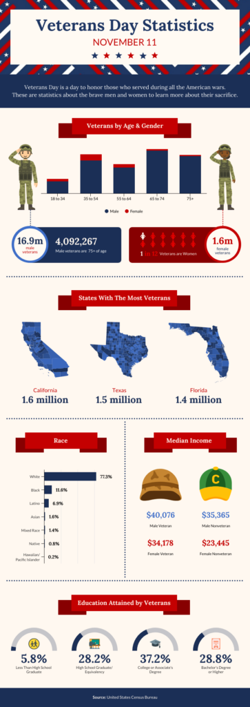 Veterans Day Statistics