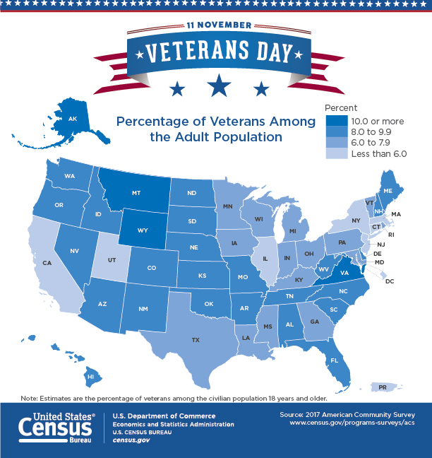 Veterans Day Statistics