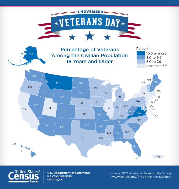 Veterans Day Statistics